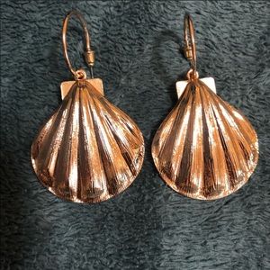 Gold seashell earrings